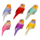 Koristelintu