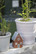 Talolyhty, terra 14,5cm