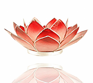 Lotus tuikkulyhty Pinkki-Punainen hopeareunuksin