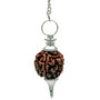 Heiluri Rudraksha Hopea