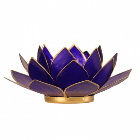 Lotus tuikkulyhty Indigonsininen kultareunuksin