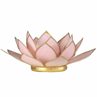 Lotus tuikkulyhty Pastellipinkki kultareunuksin