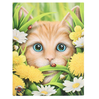 Canvastaulu 'Summer Cat'
