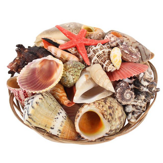 Simpukkakori 400g