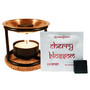 Aromafume suitsukepoltin 'Plain'