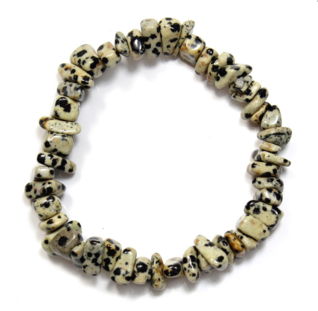 Dalmatianjaspis sirurannekoru