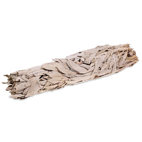 Valkoinen salvia / White sage nippu 22cm/60-75g