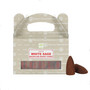 White Sage 'Backflow Dhoop Cones' kartiosuitsuke (Satya)