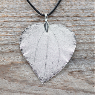 Kaulakoru 'Heart Leaf Silver'
