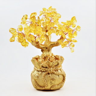 Kultainen Onnenpuu 'Golden Fortune Tree' 18cm