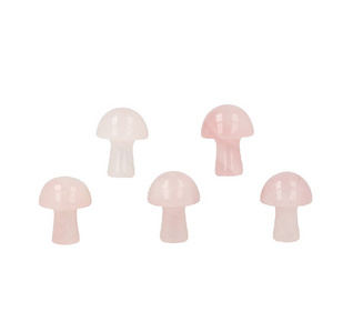 Minikivisieni 'Mini Gemstone Mushroom' 20mm