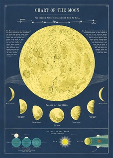 Juliste 'Chart of The Moon' 50*70cm