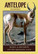Power Animal Oracle Cards by Steven D. Farmer