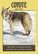 Power Animal Oracle Cards by Steven D. Farmer
