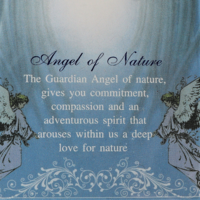 Kaulakoru Suojelusenkeli 'Angel of Nature'