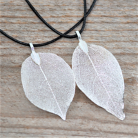 Kaulakoru 'Brevery Leaf Silver'
