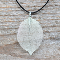 Kaulakoru 'Brevery Leaf Silver'