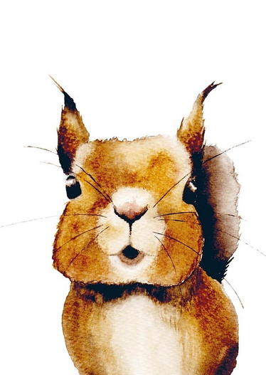 Juliste, Orava