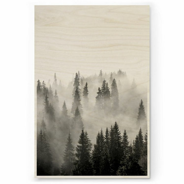 Plywood Print - Misty Forest 30x40