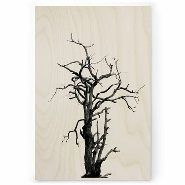 Plywood Print - Dead Wood 30x40