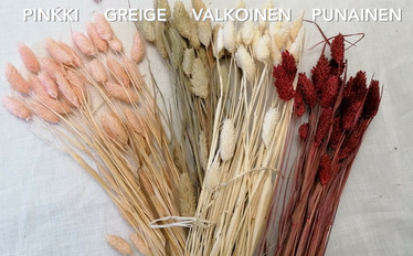 Heinänippu 50 cm - Greige