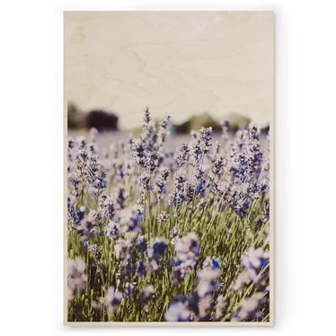 Plywood Print - Lavender 30x40