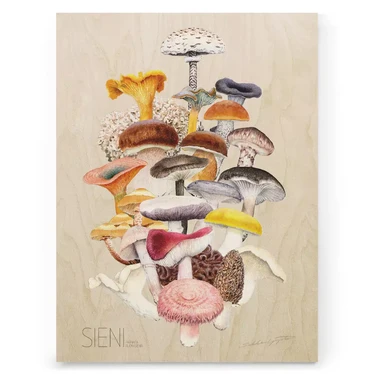 Sakke Yrjölä - Culinary Mushrooms of Finland 30x40