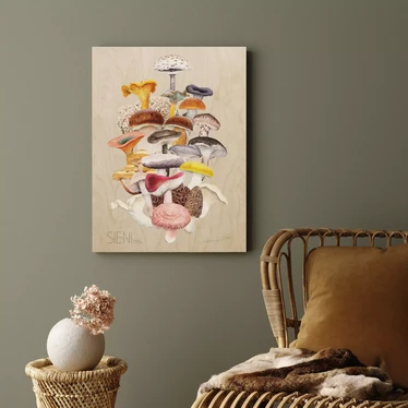 Sakke Yrjölä - Culinary Mushrooms of Finland 30x40