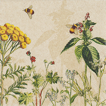 Servetti Wild Flowers 25x25cm