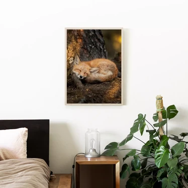 Soosseli - Kettu 2 30x40