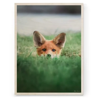 Riku Norakari - Fox 30x40