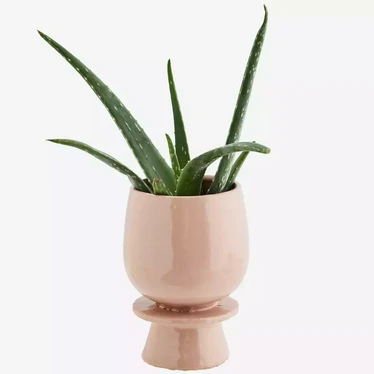Jalallinen Ruukku, Rose - 13 cm