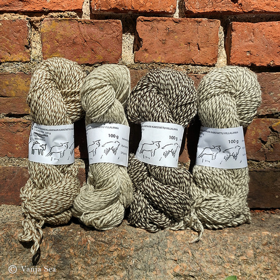 Multi Color Wool Yarn, White/Dark Brown