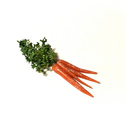 Miniatyyri Porkkananippu