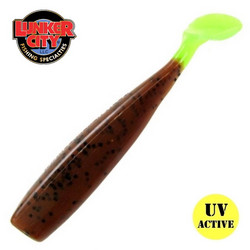 #066 Pumpkinseed CT 3,25