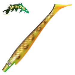 Orange Belly Perch 20cm