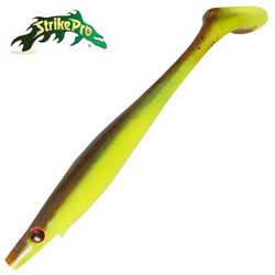 Toasted Iguana 20cm