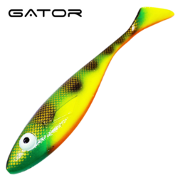 #29 Orange Belly Perch 22cm