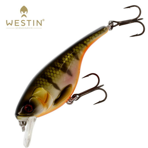 Babybite DR Crankbait - Predator Lures