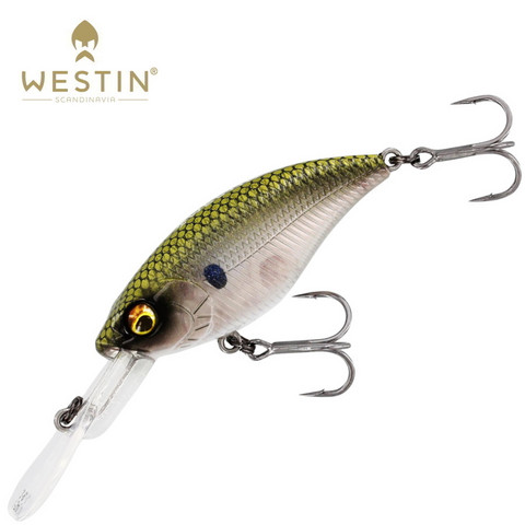 Westin BuzzBite Crankbait 5cm 6g Suspending Lure Pike Trout COLOURS