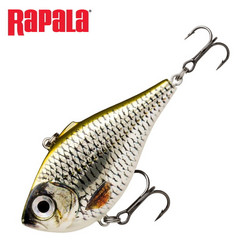 Live Roach (ROL) 5cm 9g