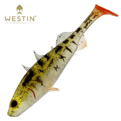 Pearl Stickleback 7,5cm 6kpl
