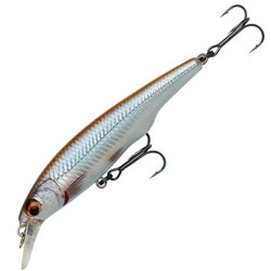Roach 8,3cm 10g