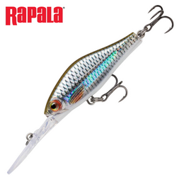 Live Roach (ROL) 7cm 10g