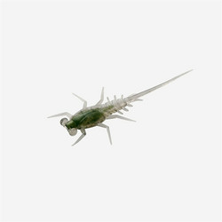 Greenhead 4,3cm 6kpl