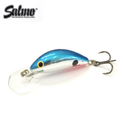 Red Tail Shiner 3,5cm 2,2g