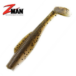 Mud Minnow 3