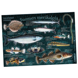 Sakke Yrjölä Suomen Merikalat Tarra-arkki