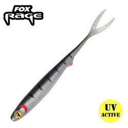 Young Perch 16cm 2kpl