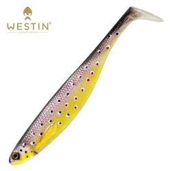 Brook Trout 10cm 3kpl